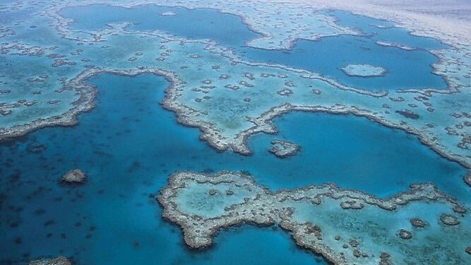 La Gran Barrera de coral australiana está sufriendo las consecuencias del cambio climático.