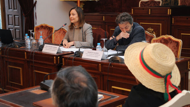 Un momento del debate, en el Salón de Plenos de la Diputación.