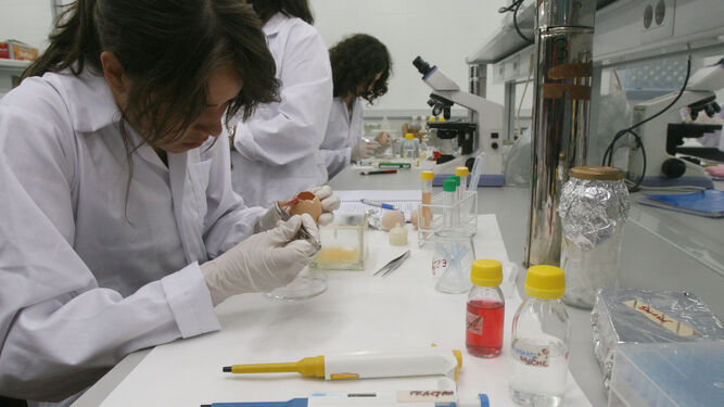 Un grupo de investigadores de la UCO en un laboratorio