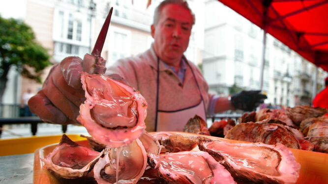 Las ostras u ostiones es de los productos que más han subido las últimas semanas.