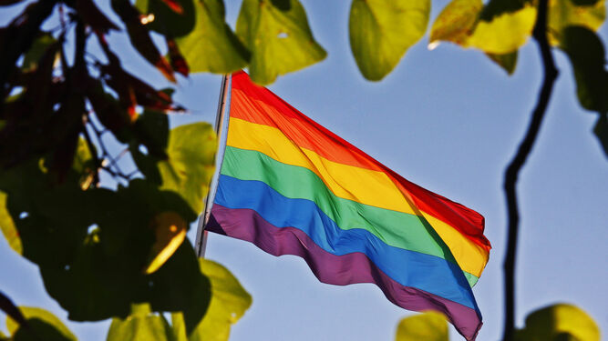 La bandera del colectivo gay.