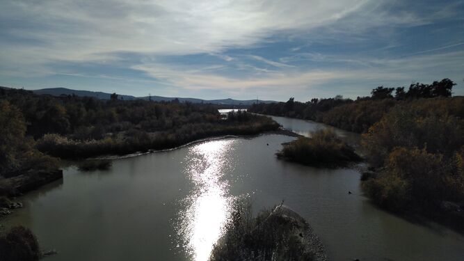 El río Guadalquivir, en una mañana gélida de invierno.