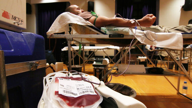 Un hombre dona sangre en una campaña del Centro Regional de Transfusión de Córdoba.