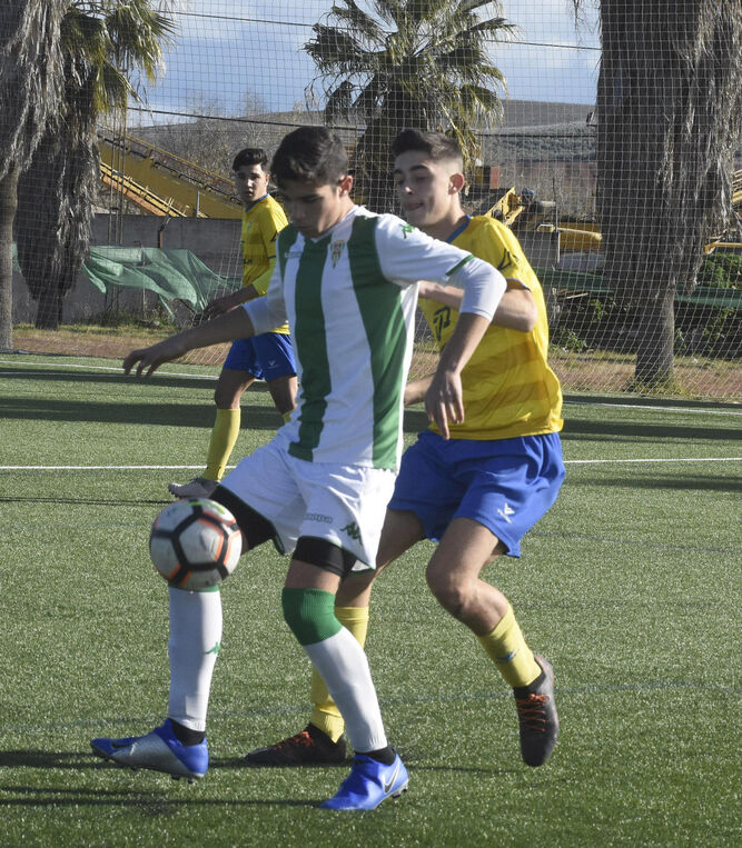Un jugador del Córdoba protege el balón ante un jugador del Tomares.