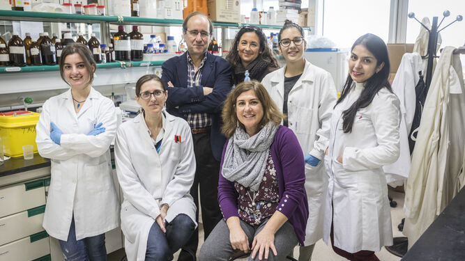 Isabel Alarcón, Gemma Albendín, José M. Quiroga, Juana Arellano, Rocío Rodríguez, Ana Franco y Karol Herrera, parte del grupo de investigación.