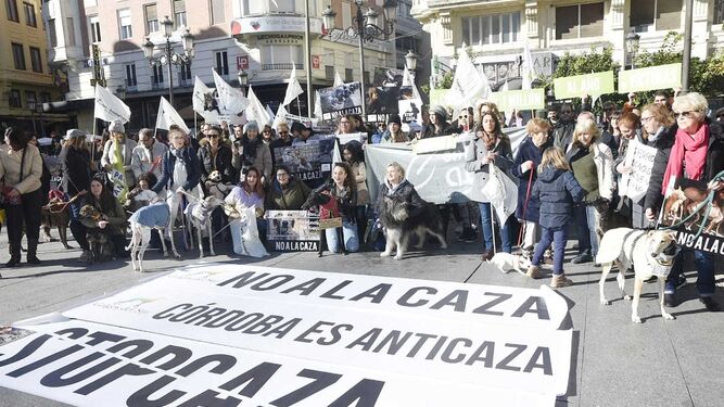 Un momento de la protesta de Galgos del Sur en la plaza de las Tendillas