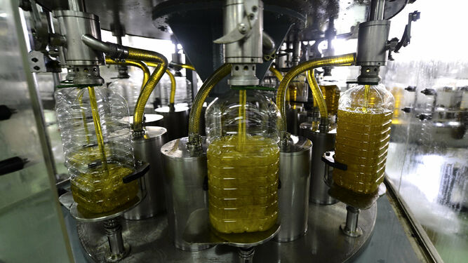 Proceso de envasado de aceite en una almazara de la Subbética