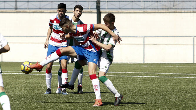 Un jugador del Granada despeja el balón ante la presión de uno del Córdoba.