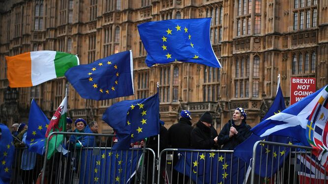 Manifestantes a favor de la permanencia en la UE se manifiestan en las afueras del Parlamento.