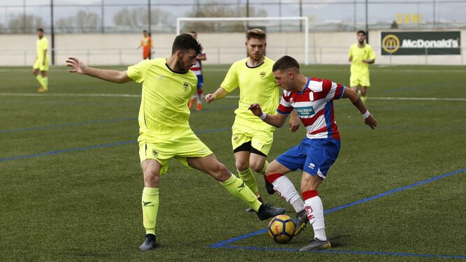 Dos jugadores del Séneca presionan a un jugador del Granada.