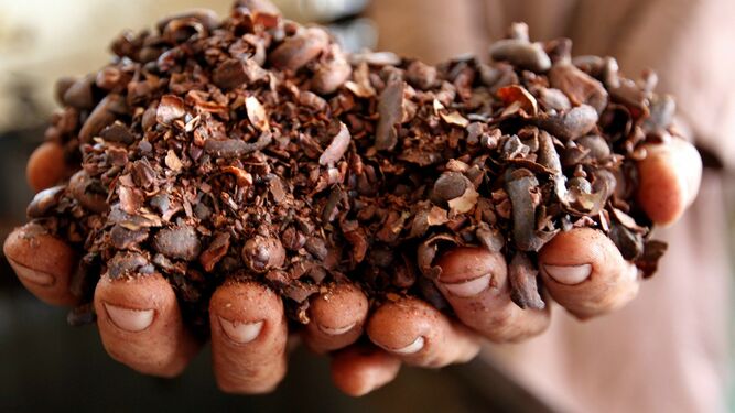 El cacao puro es rico en polifenoles, un potente antioxidante.