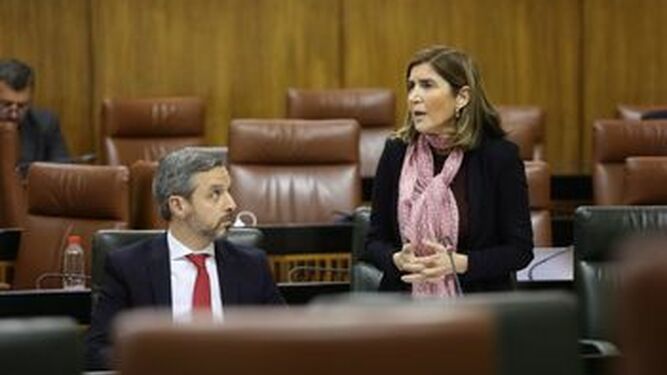 La consejera de Empleo, Rocío Blanco, en una intervención en el Parlamento.