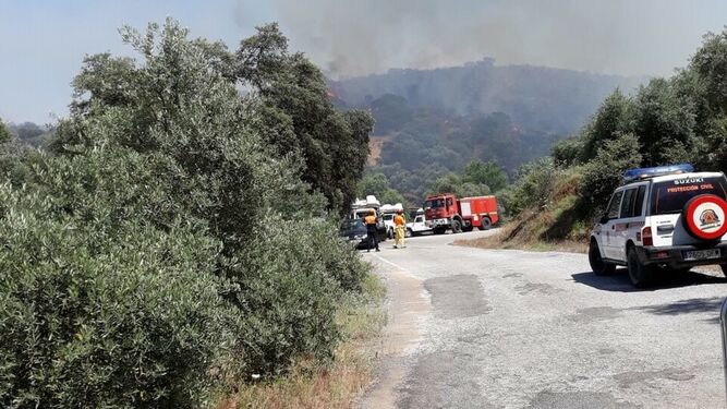 Efectivos del Infoca y bomberos de la Diputación intervienen en un incendio forestal en Adamuz