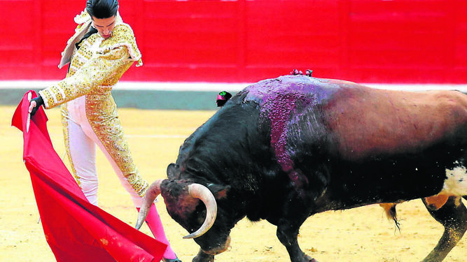 'Rescoldito', el toro al que Alejandro Talavante cortó las dos orejas la tarde del 2 de junio de 2018.