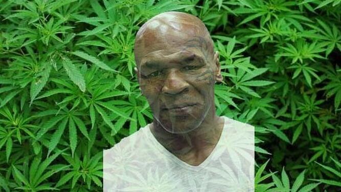 Mike Tyson abrirá un "rancho de marihuana" en California