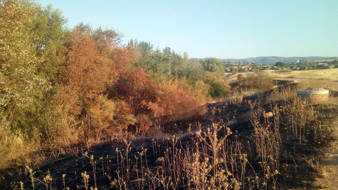 Terrenos de pastizal quemado en el entorno del arroyo Pedroches.