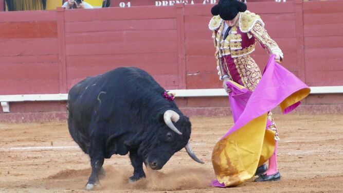 David de Miranda capotea con clase a ese notable a un toro en Algeciras.