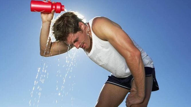 El agua es fundamental para evitar un golpe de calor.