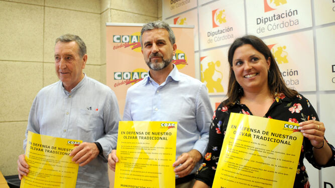 Merino, Sánchez y Quintero, en la Diputación.