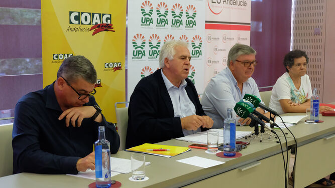 Los responsables de las organizaciones agrarias en el acto de comunicación que ofrecieron en Sevilla.