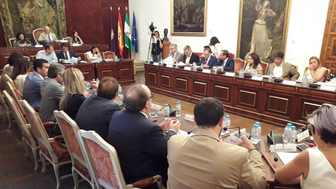 Celebración del Pleno corporativo de la Diputación de Córdoba.