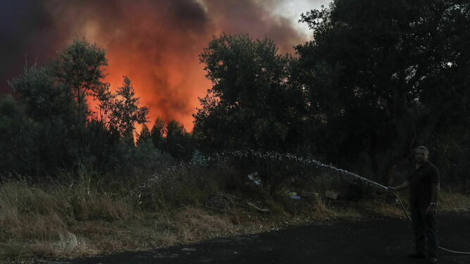 La extinci&oacute;n del incendio del centro de Portugal, en im&aacute;genes