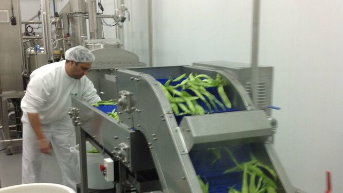 Fábrica de potitos ecológicos en Jerez