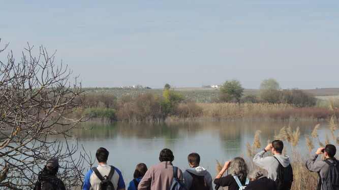 Visitantes en la laguna del Rincón, en Aguilar de la Frontera.