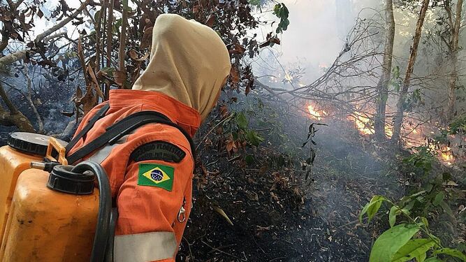 Imagen cedida por los bomberos de Porto Velho, una de las zonas más afectadas por los incendios.