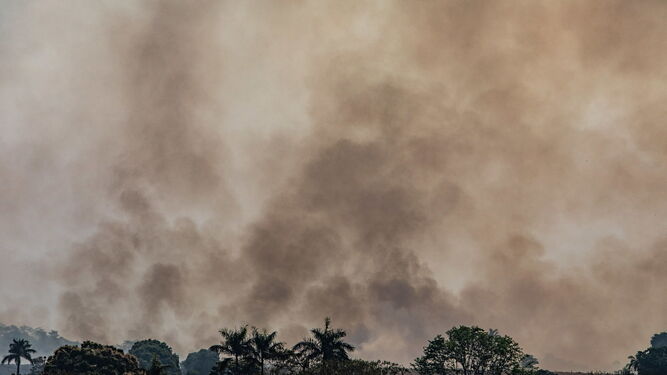Así arde la Amazonía.