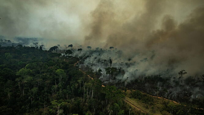Imagen de los incendios en la selva del Amazonas brasileña del año 2019.