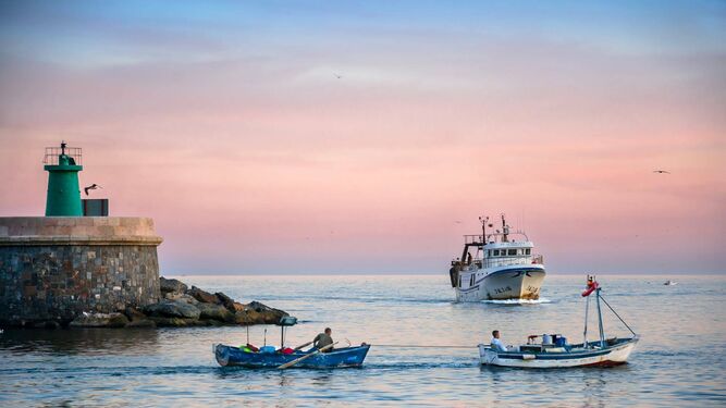 El foro abordará el estado de los recursos pesqueros en el Mediterráneo, para lo que contará con numerosos expertos.