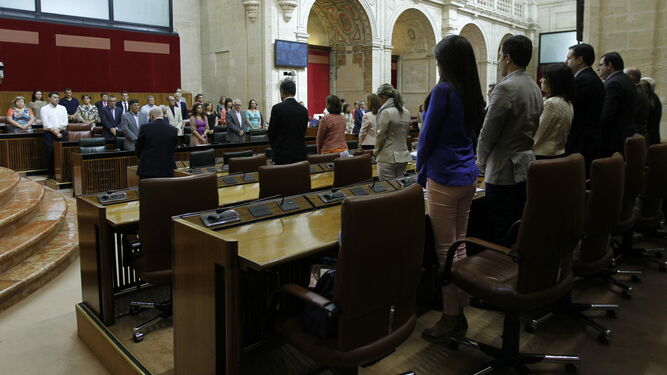 Los diputados andaluces en el Parlamento.