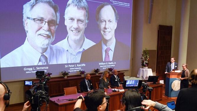 Thomas Perlmann, secretario general del Comité de los Nobel, anuncia los premiados con el de Medicina.