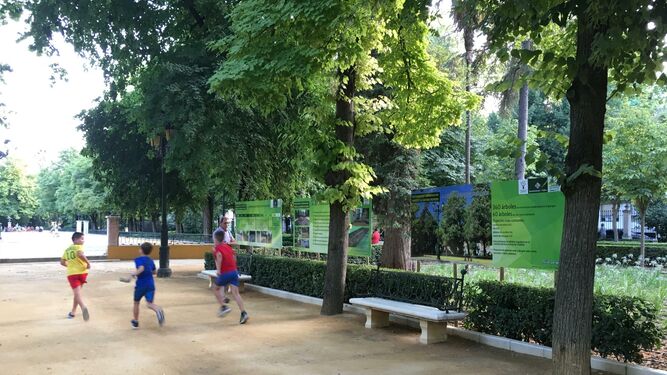Unos niños  corren en el parque Alcántara Romero de Cabra.