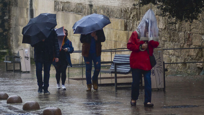 Varias personas caminan por Córdoba mientras se protegen de la lluvia.