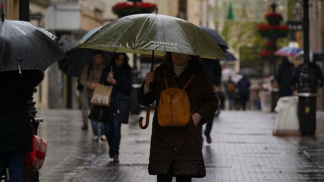 Varias personas caminan bajo los paraguas en el Centro de Córdoba.