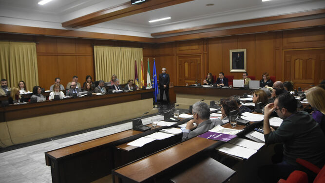 Sesión plenaria en el Ayuntamiento de Córdoba.