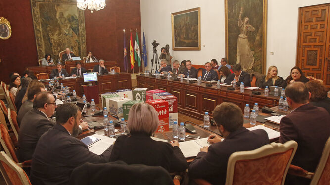 Un momento de la sesión plenaria celebrada en la Diputación.