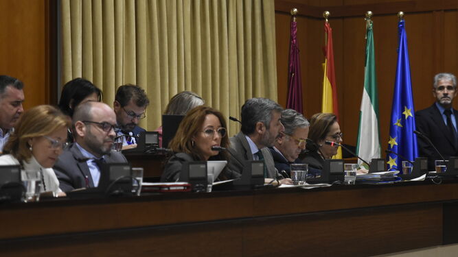 Sesión plenaria del Ayuntamiento de Córdoba.