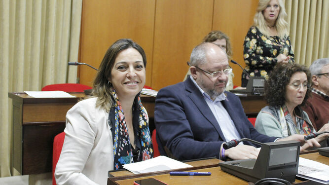 La portavoz del PSOE en el Ayuntamiento, Isabel Ambrosio, en el último Pleno.
