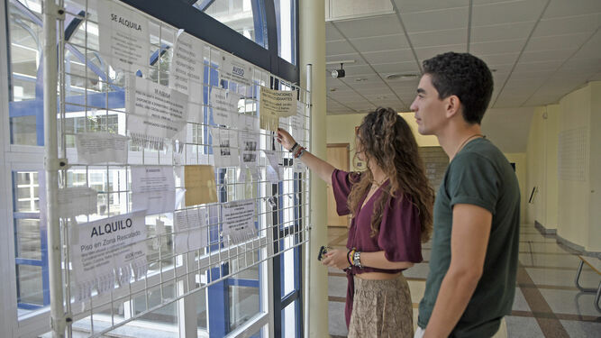 Dos jóvenes miran un tablón de anuncios con pisos en alquiler en una facultad de la UCO.