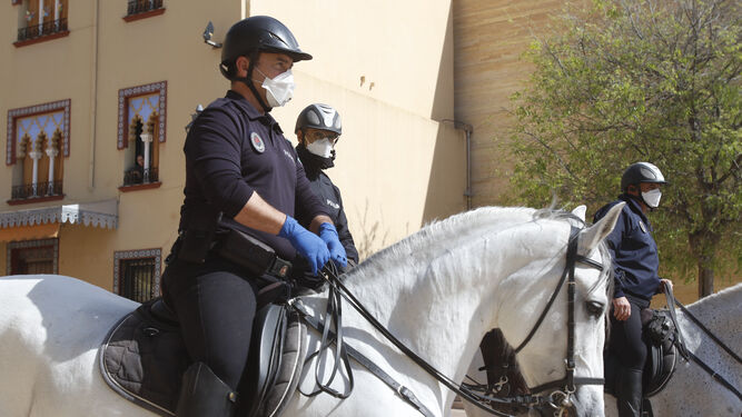 Agentes de la Policía Local patrullan a caballo por el centro de Córdoba.
