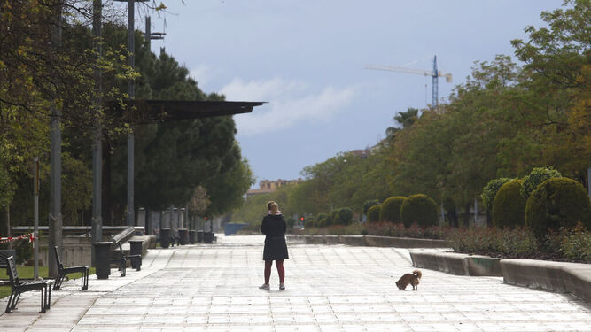 Una mujer pasea a su mascota durante el estado de alarma en Córdoba.