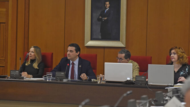 El alcalde de Córdoba, en el centro, en una sesión plenaria.