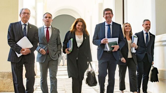 Seis consejero del Gobierno andaluz, antes de presentar públicamente el decreto-ley de simplificación.
