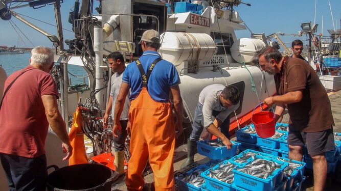 Pescadores andaluces en plena faena
