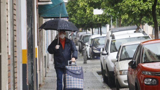 Un hombre se tapa con un paraguas mientras va a hacer la compra.