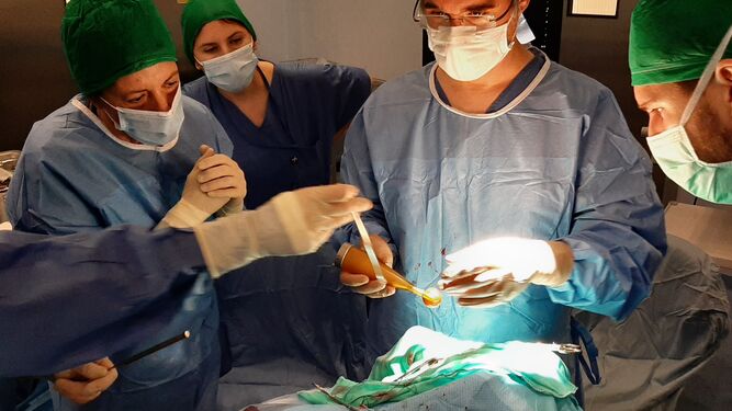 Varios cirujanos intervienen en una operación realizada en el Hospital Reina Sofía.
