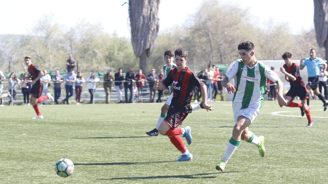 Un jugador del Córdoba CF y otro del Séneca buscan un balón en el derbi de Liga Nacional Juvenil.